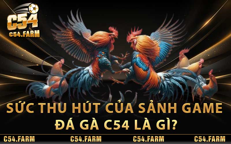Đá Gà C54 - Trận Đấu Kịch Tính Tại Trường Gà Nổi Tiếng 3 Sức thu hút của sảnh game đá gà c54 là gì