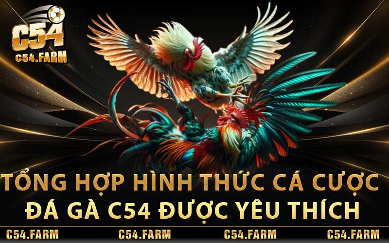 Đá Gà C54 - Trận Đấu Kịch Tính Tại Trường Gà Nổi Tiếng 4 Tổng hợp hình thức cá cược đá gà C54 được yêu thích