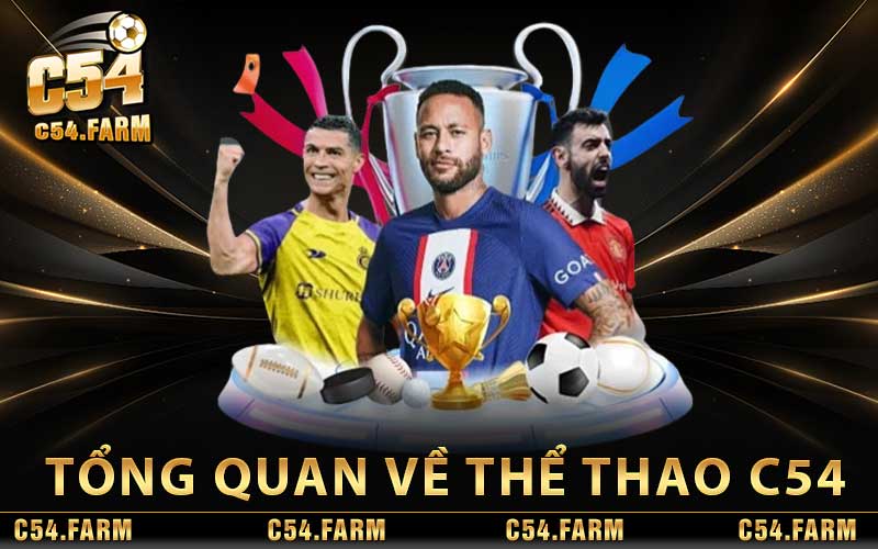 Thể Thao C54 - Trải Nghiệm Thế Giới Cá Cược Thể Thao Đỉnh Cao 2 Tổng quan về Thể Thao C54