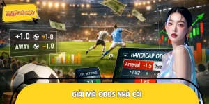 Giải Mã Odds Nhà Cái Chính Xác - Bật Mí Cách Thắng Đậm