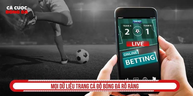 Trang cá độ bóng đá cung cấp thông tin rõ ràng